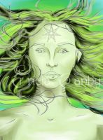 Star of the Sea